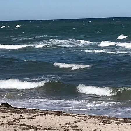 Skandinavienblick-scholle-1-1 *