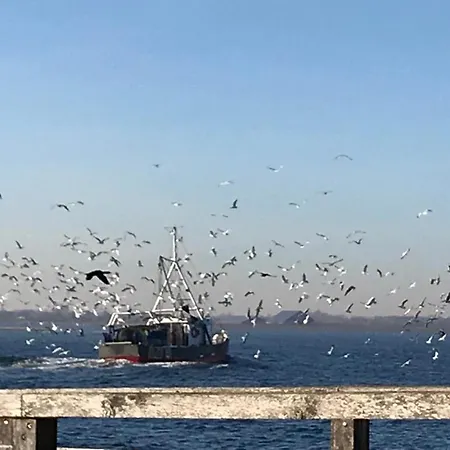 Lejlighed Skandinavienblick-scholle-1-1 *