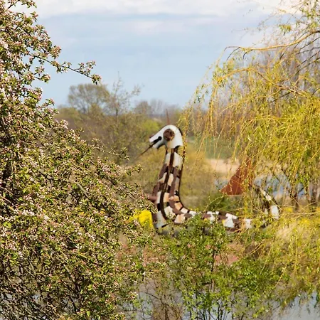 Skandinavienblick-scholle-1-1 Lejlighed