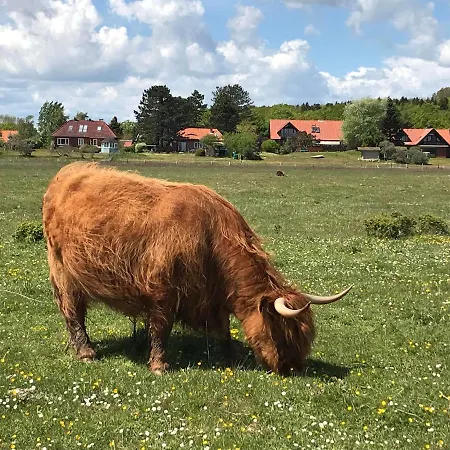 Lejlighed Skandinavienblick-scholle-1-1 Hohwacht