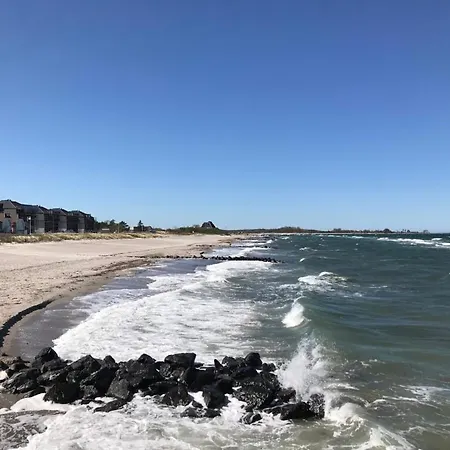 Skandinavienblick-scholle-1-1 Hohwacht