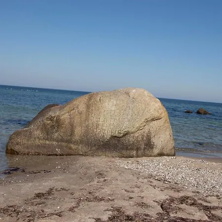 Skandinavienblick-scholle-1-1 Hohwacht