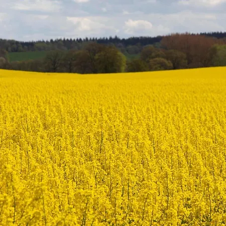 Skandinavienblick-scholle-1-1 Hohwacht