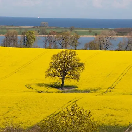 Lejlighed Skandinavienblick-scholle-1-1