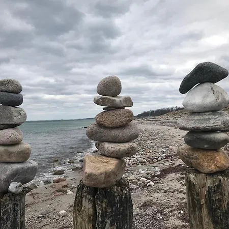 Skandinavienblick-scholle-1-1 * Hohwacht