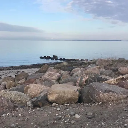 Skandinavienblick-scholle-1-1 *