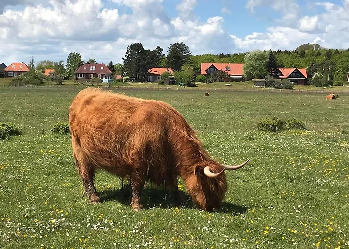 Apartament Skandinavienblick-scholle-1-1 Hohwacht