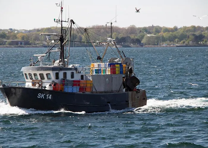 Apartament Skandinavienblick-scholle-1-1 Hohwacht